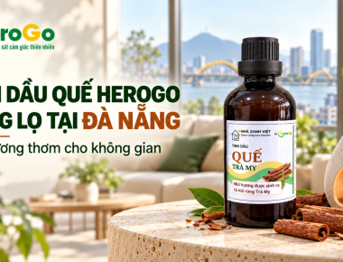 Tinh Dầu Quế HeroGo Dạng Lọ Tại Đà Nẵng – Tạo Hương Thơm Cho Không Gian