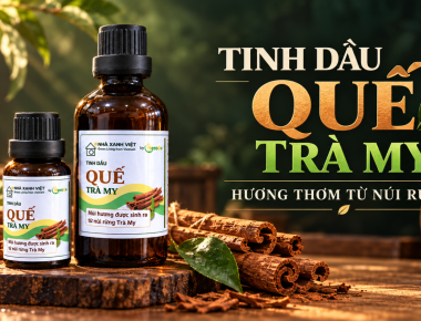 Tinh Dầu Quế HeroGo Dạng Lọ Tại Đà Nẵng – Tạo Hương Thơm Cho Không Gian