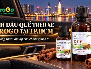 Tinh Dầu Quế Treo Xe HeroGo Tại TP.HCM – Tạo Hương Thơm Ấm Áp Cho Không Gian Ô Tô