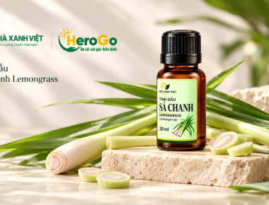 Sả Chanh Lemongrass NHÀ XANH VIỆT: hương thảo mộc trong nhịp sống đô thị