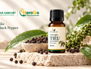 Tinh dầu Tiêu Black Pepper NHÀ XANH VIỆT: điểm nhấn hương gia vị cho không gian đô thị