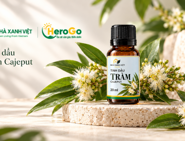 NHÀ XANH VIỆT giới thiệu hương Tràm Cajeput cho không gian sống tại TP.HCM và Đà Nẵng