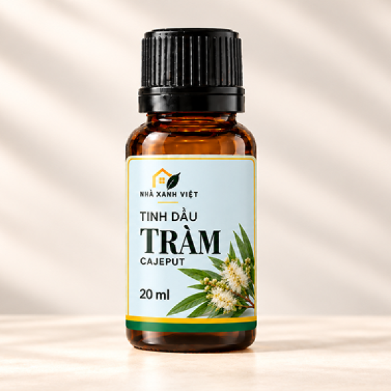 Tinh Dầu Tràm Cajeput Nhà Xanh Việt – Hương Tràm Cho Không Gian Sống