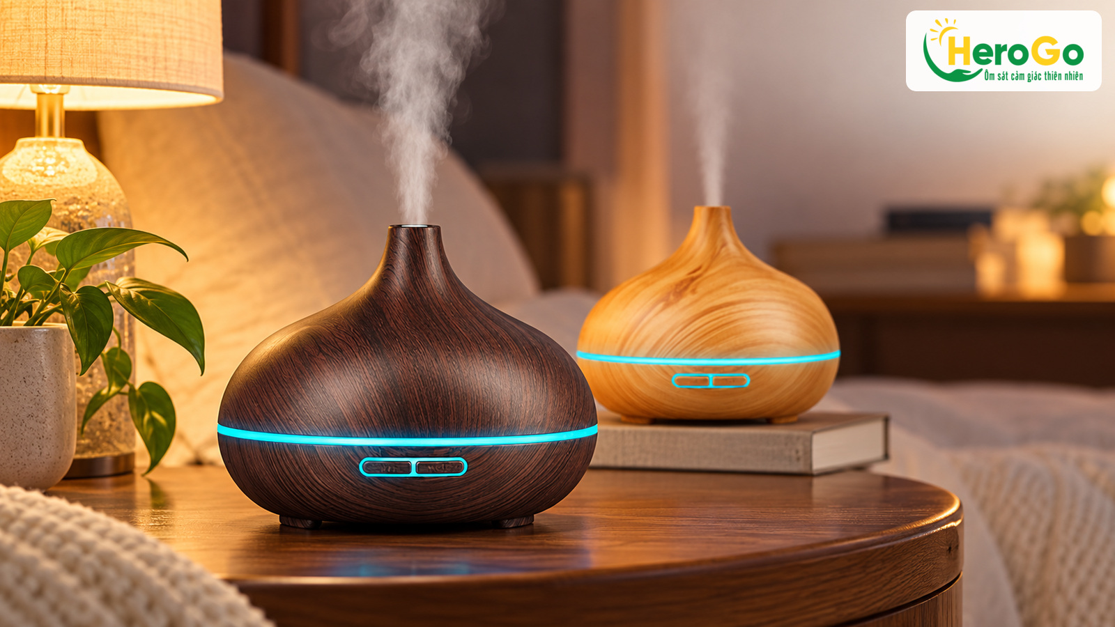 Máy Bí Ngô Cổ Cao với vòng sáng trong góc đọc sách